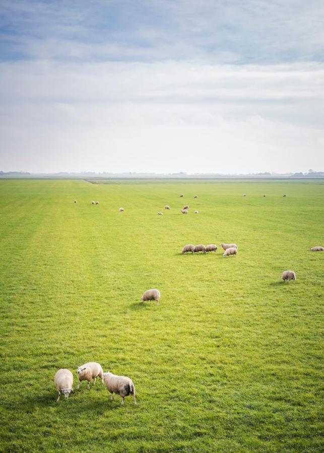 Ollediek Houwerzijl Kültér fotó