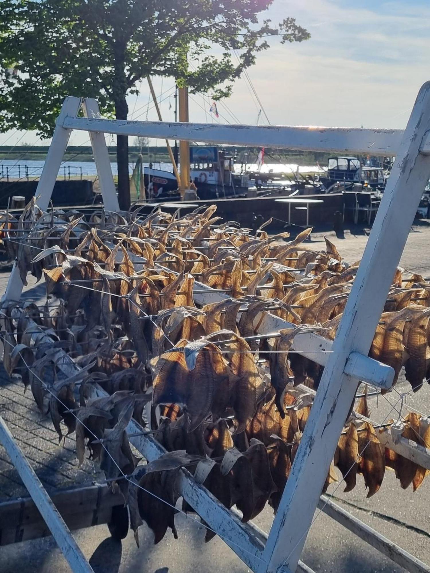 Ollediek Houwerzijl Kültér fotó